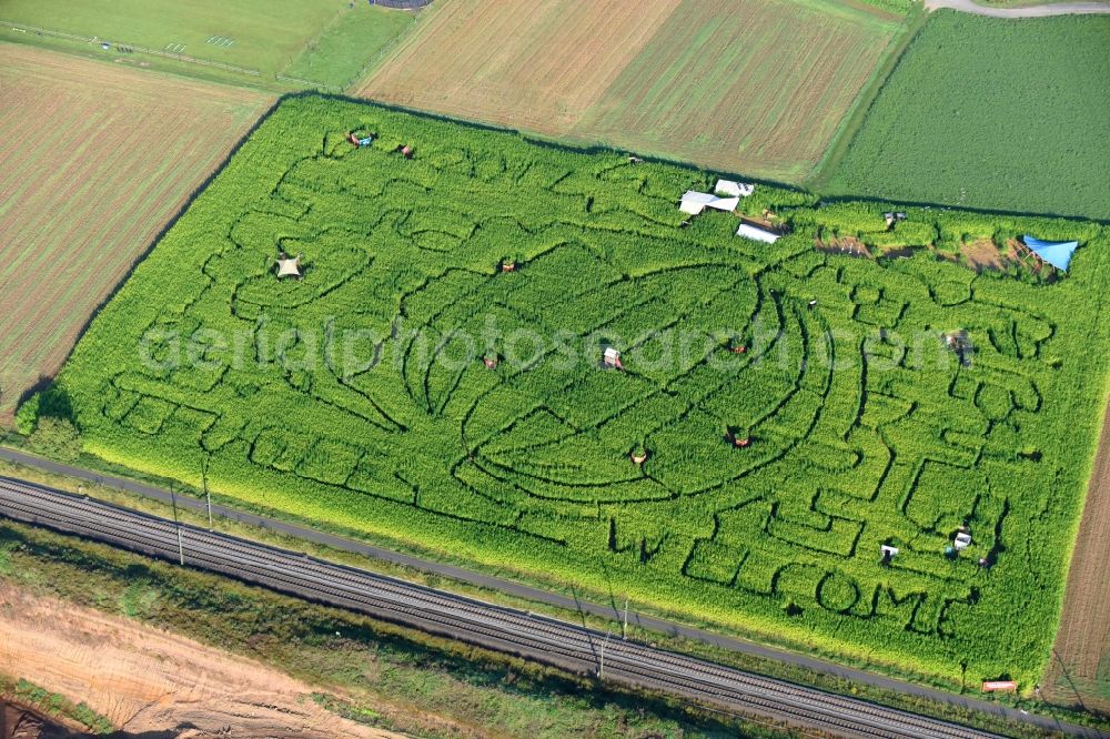 Weimar (Lahn) from the bird's eye view: Hemp - Labyrinth with the outline of a Globus with the motto Refugees Welcome Auf dem Joch in a field in Weimar (Lahn) in the state Hesse, Germany