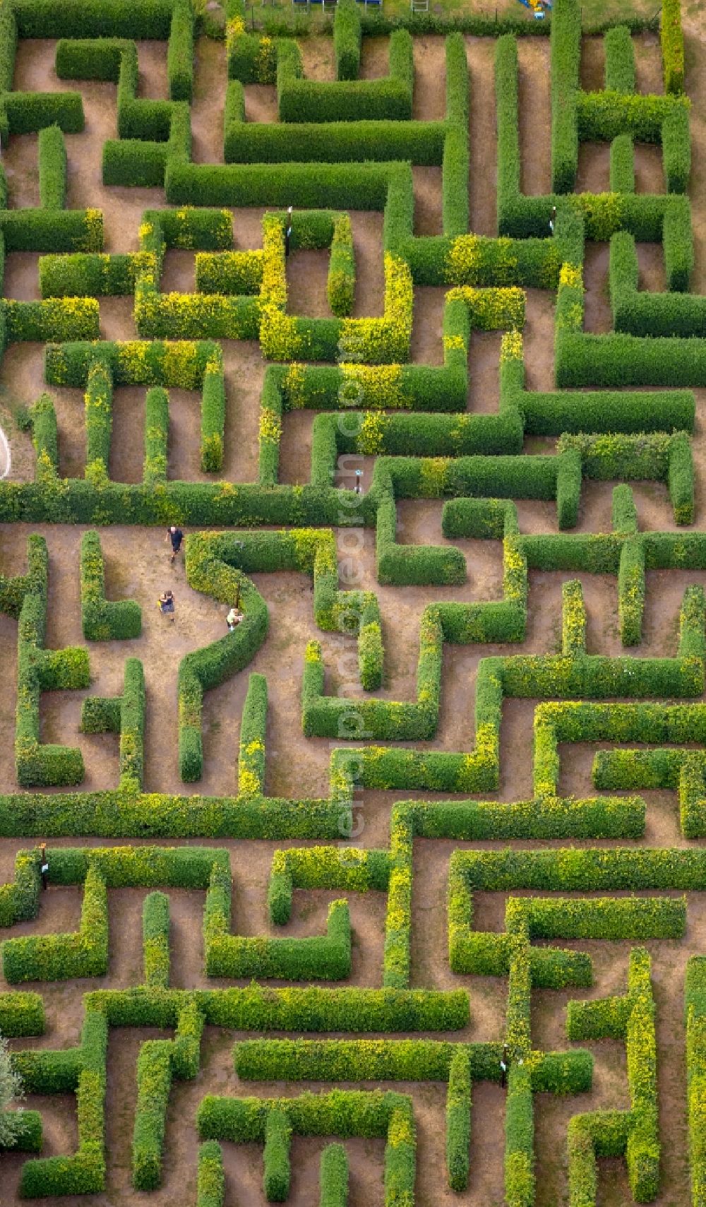 Aerial photograph Bollewick - Maze - Labyrinth Bollewick Bollewick in Mecklenburg-Vorpommern