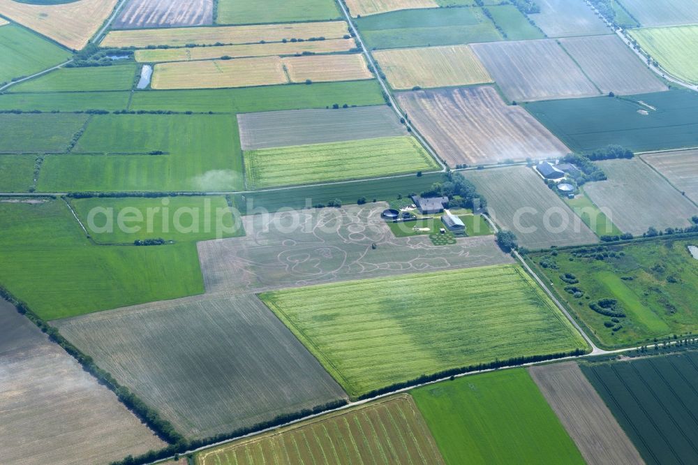 Aerial photograph Oldsum - Maze - Labyrinth in a field in Alkersum in the state Schleswig-Holstein