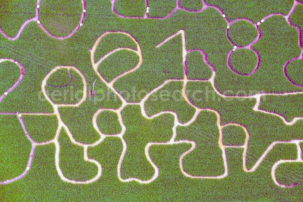 Aerial image Ketschau - Maze - Labyrinth with the outline in a field in Ketschau in the state Baden-Wurttemberg, Germany