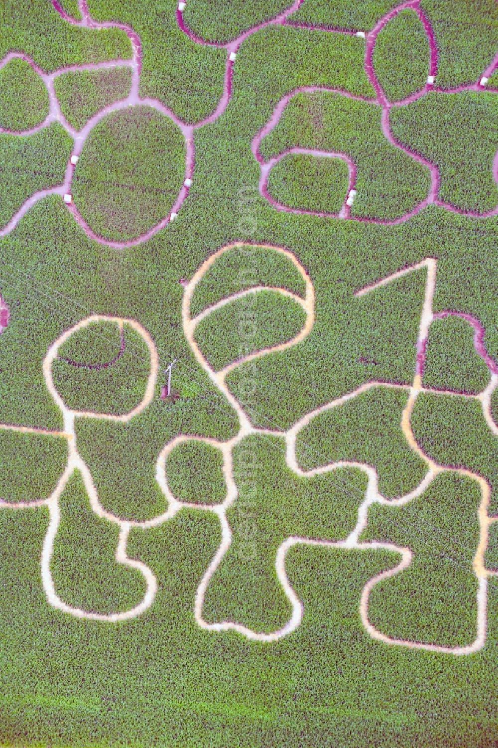 Aerial photograph Ketschau - Maze - Labyrinth with the outline in a field in Ketschau in the state Baden-Wurttemberg, Germany