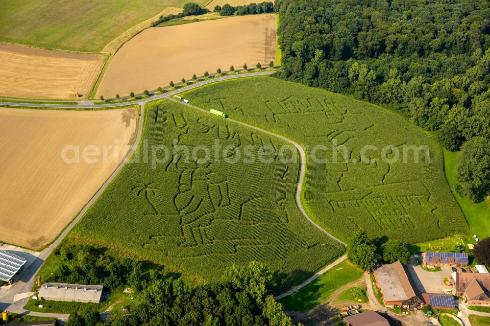 Selm from above - Maze - Labyrinth a cornfield in Cappenberg in the state North Rhine-Westphalia