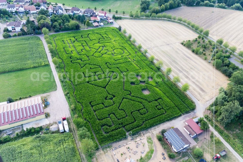 Aerial photograph Steinweiler - Maze - Labyrinth on a corn-field in Steinweiler in the state Rhineland-Palatinate, Germany