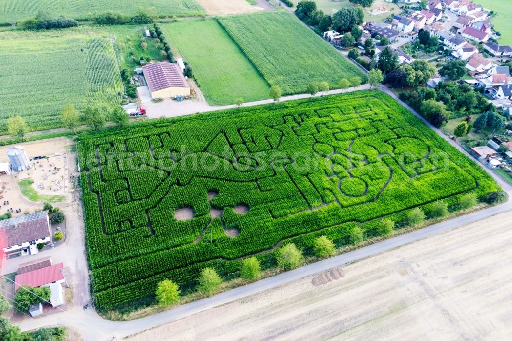 Steinweiler from above - Maze - Labyrinth on a corn-field in Steinweiler in the state Rhineland-Palatinate, Germany