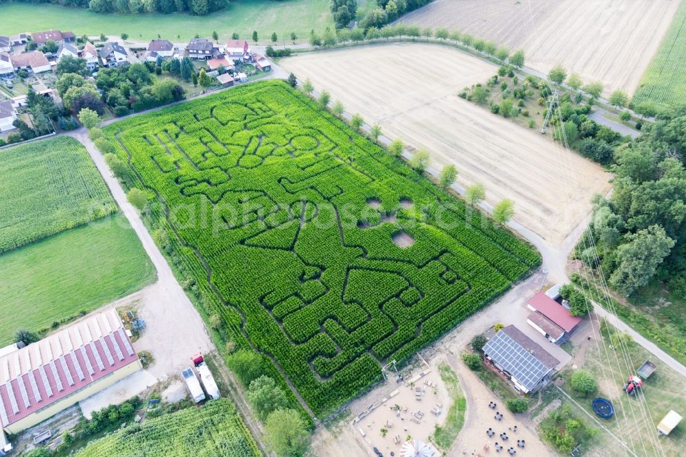 Steinweiler from the bird's eye view: Maze - Labyrinth on a corn-field in Steinweiler in the state Rhineland-Palatinate, Germany