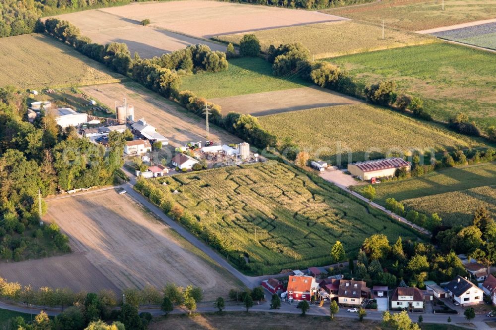 Aerial photograph Steinweiler - Maze - Labyrinth on a corn-field in Steinweiler in the state Rhineland-Palatinate, Germany