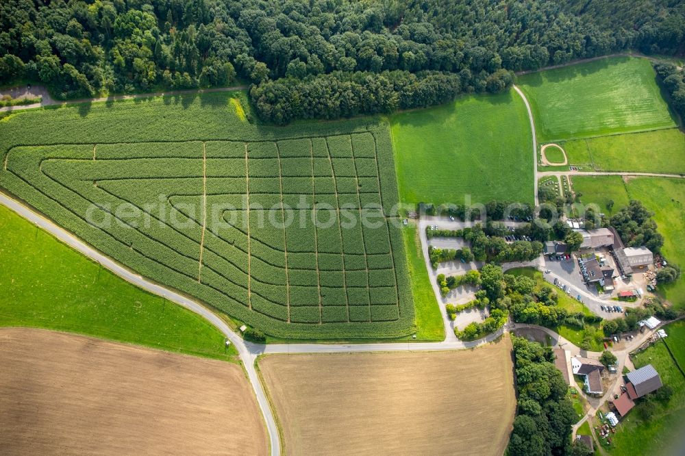 Aerial image Hattingen - Maze - Labyrinth on a cornfield of the Bergerhof in Hattingen in the state North Rhine-Westphalia