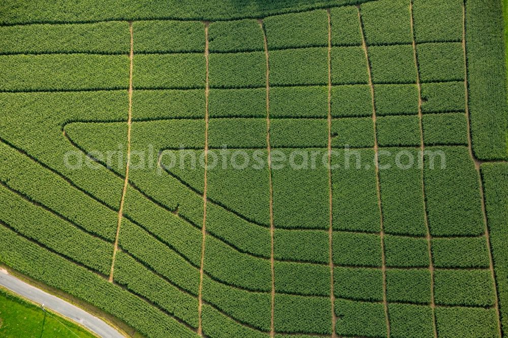 Aerial photograph Hattingen - Maze - Labyrinth on a cornfield of the Bergerhof in Hattingen in the state North Rhine-Westphalia