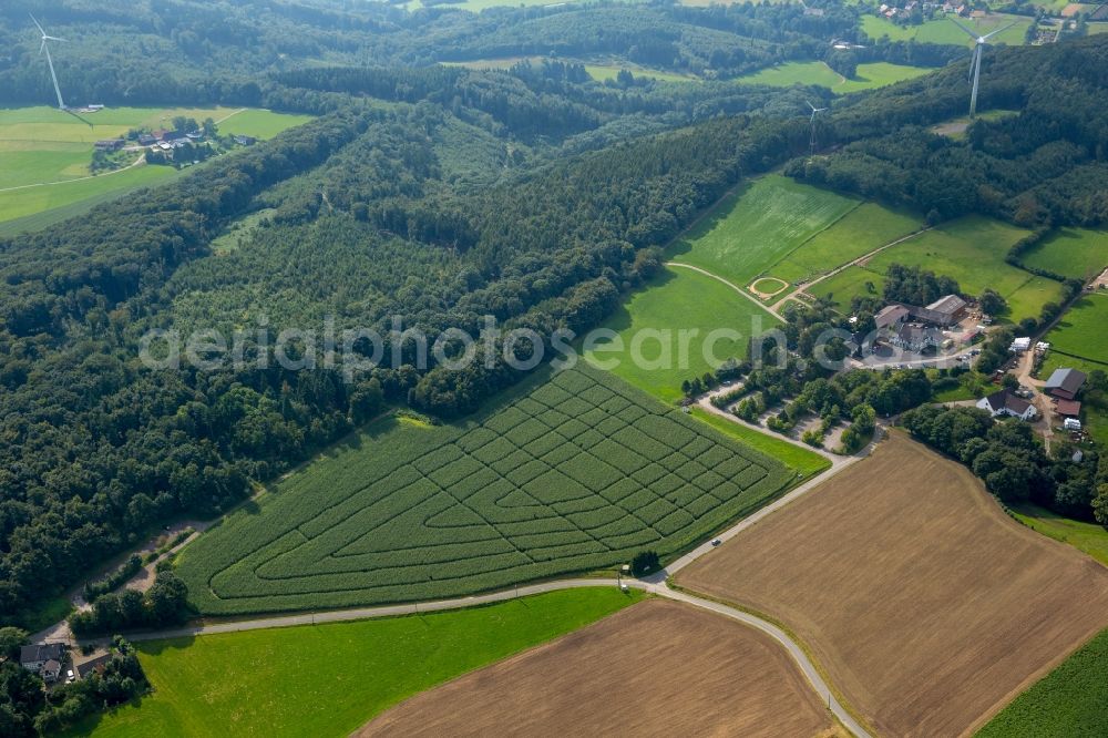 Hattingen from above - Maze - Labyrinth on a cornfield of the Bergerhof in Hattingen in the state North Rhine-Westphalia