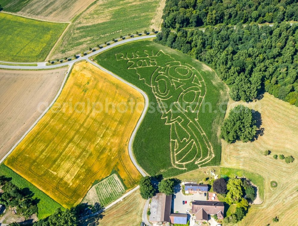 Selm from above - Maze - Labyrinth with the outline in a field in Selm in the state North Rhine-Westphalia, Germany