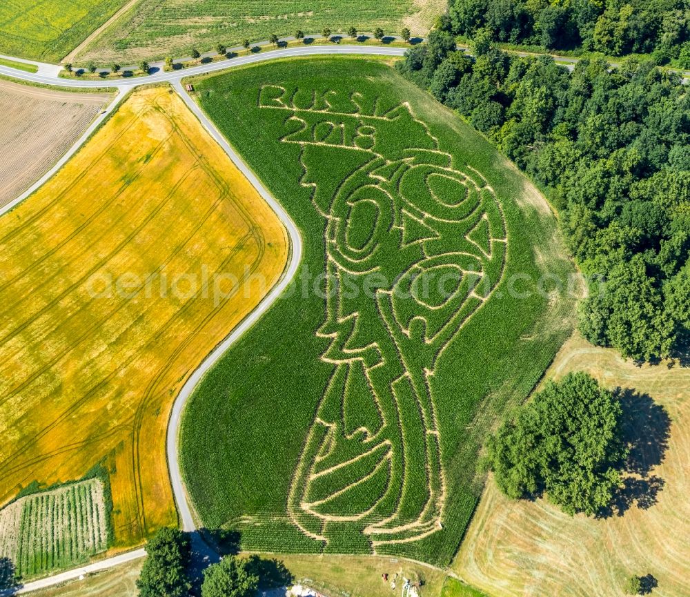 Selm from the bird's eye view: Maze - Labyrinth with the outline in a field in Selm in the state North Rhine-Westphalia, Germany