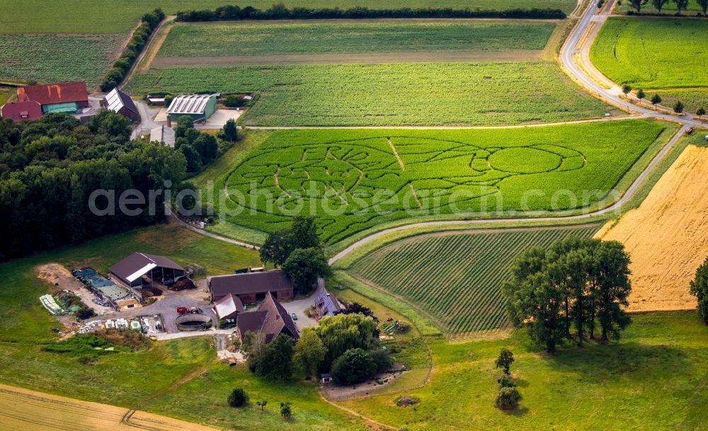 Aerial photograph Selm - Maze - Labyrinth with the outline of Fridays for future in a field in Selm in the state North Rhine-Westphalia, Germany