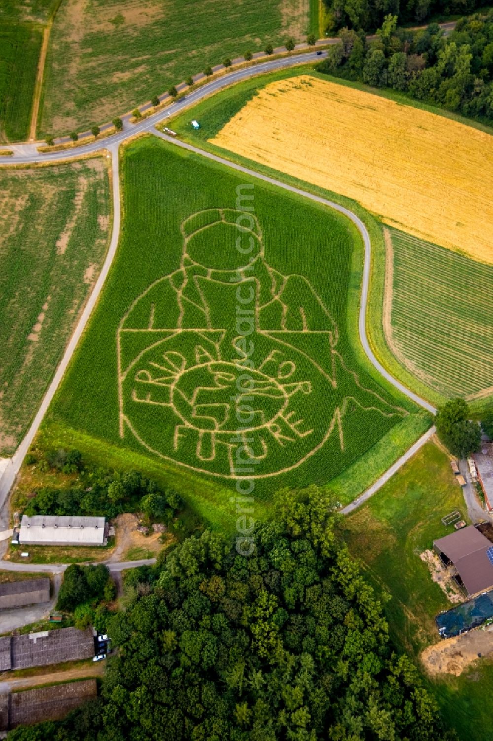 Selm from the bird's eye view: Maze - Labyrinth with the outline of Fridays for future in a field in Selm in the state North Rhine-Westphalia, Germany