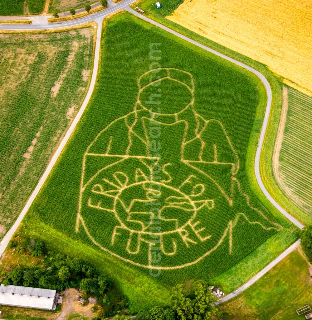 Aerial photograph Selm - Maze - Labyrinth with the outline of Fridays for future in a field in Selm in the state North Rhine-Westphalia, Germany