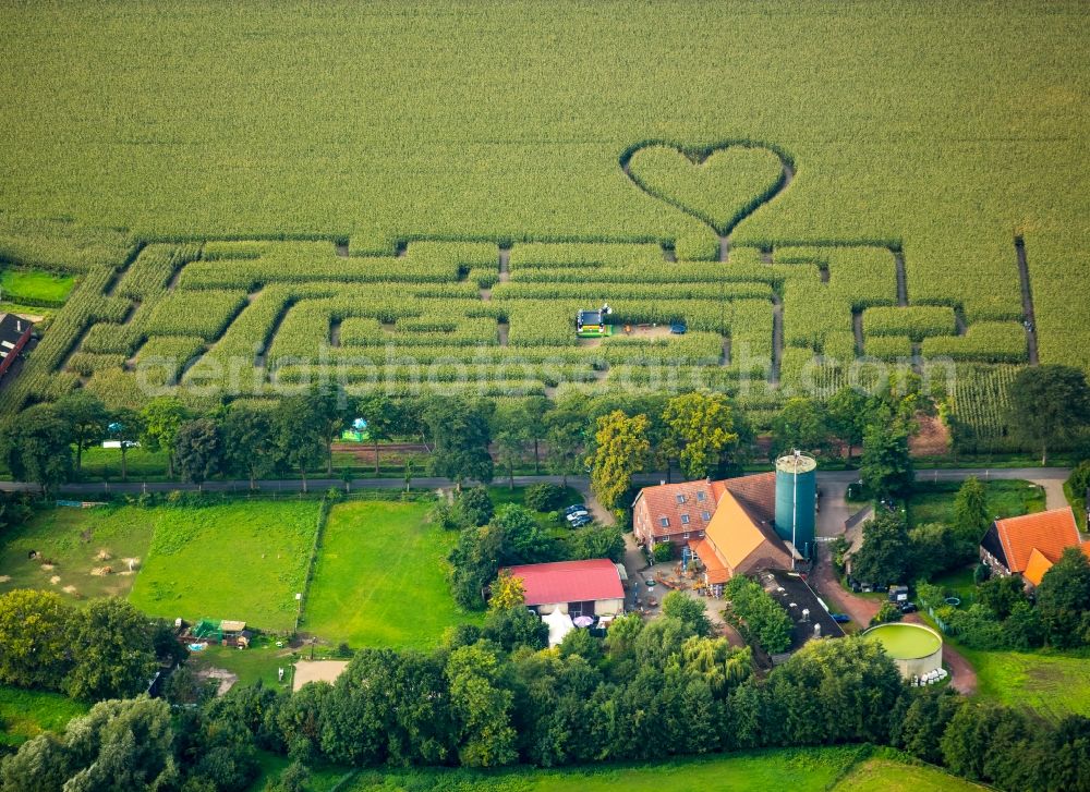 Aerial image Herten - Maze - Labyrinth with the outline of einer Herz- Form in a field in Herten in the state North Rhine-Westphalia