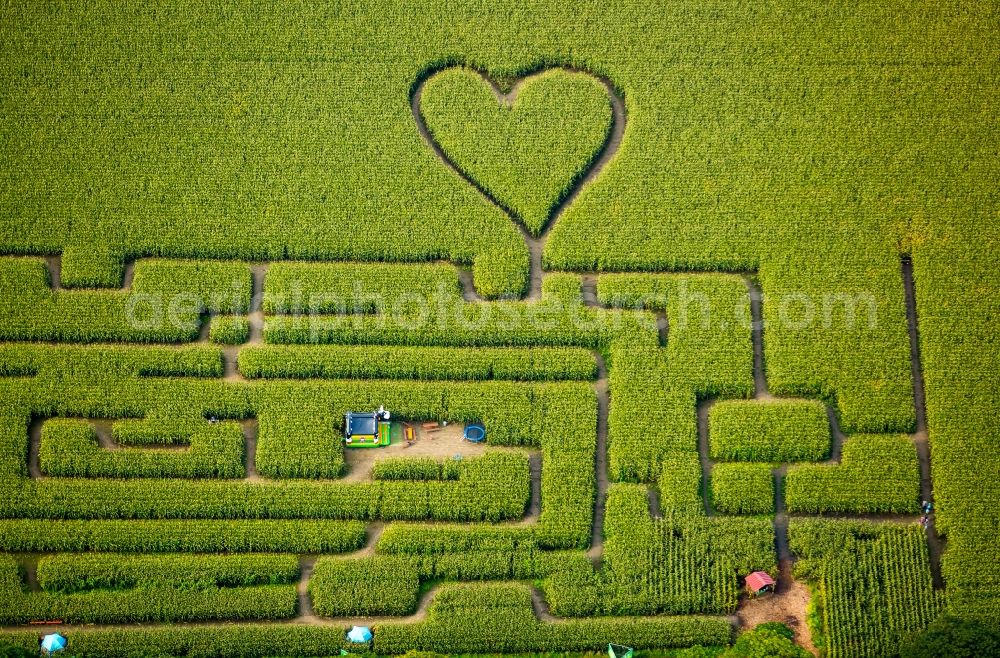 Herten from above - Maze - Labyrinth with the outline of einer Herz- Form in a field in Herten in the state North Rhine-Westphalia