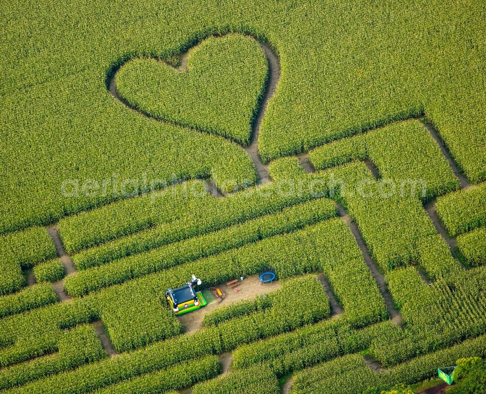 Herten from the bird's eye view: Maze - Labyrinth with the outline of einer Herz- Form in a field in Herten in the state North Rhine-Westphalia