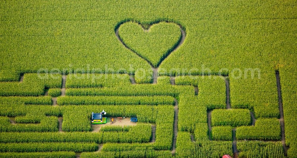 Aerial photograph Herten - Maze - Labyrinth with the outline of einer Herz- Form in a field in Herten in the state North Rhine-Westphalia