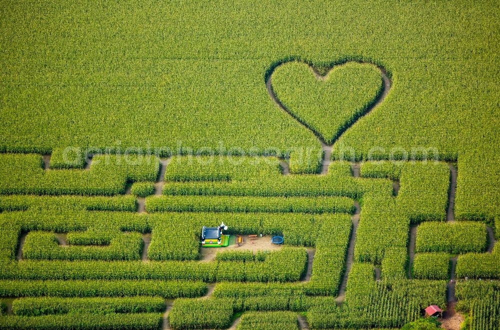 Herten from above - Maze - Labyrinth with the outline of einer Herz- Form in a field in Herten in the state North Rhine-Westphalia