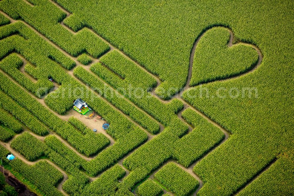 Herten from the bird's eye view: Maze - Labyrinth with the outline of einer Herz- Form in a field in Herten in the state North Rhine-Westphalia