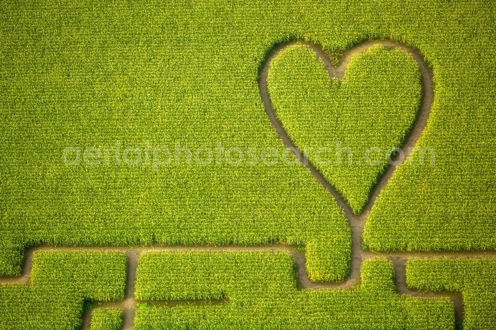 Aerial image Herten - Maze - Labyrinth with the outline of einer Herz- Form in a field in Herten in the state North Rhine-Westphalia