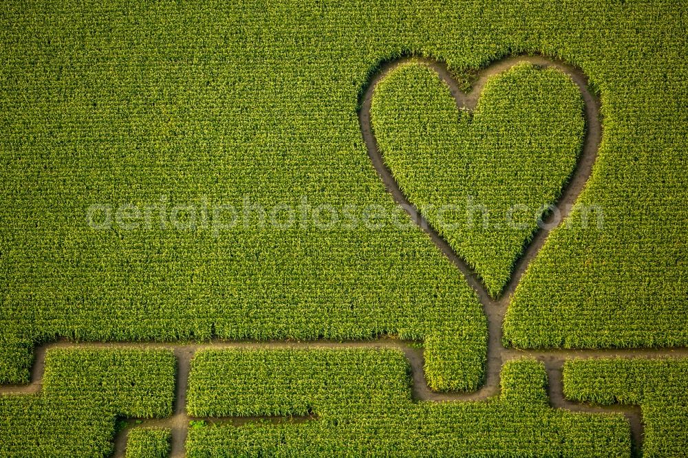 Herten from above - Maze - Labyrinth with the outline of einer Herz- Form in a field in Herten in the state North Rhine-Westphalia