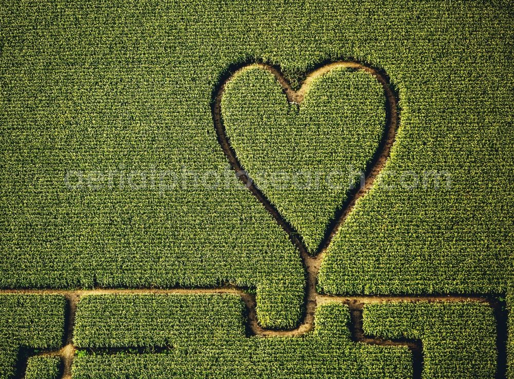 Herten from the bird's eye view: Maze - Labyrinth with the outline of einer Herz- Form in a field in Herten in the state North Rhine-Westphalia