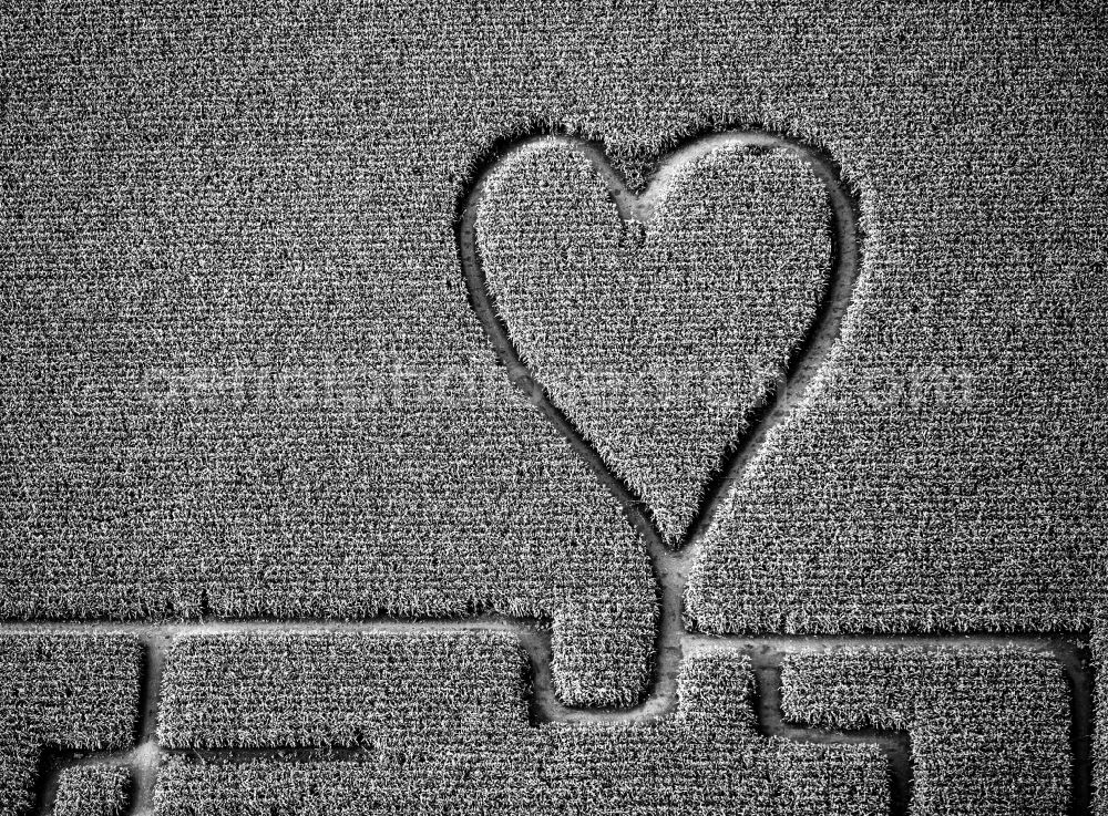 Aerial image Herten - Maze - Labyrinth with the outline of einer Herz- Form in a field in Herten in the state North Rhine-Westphalia