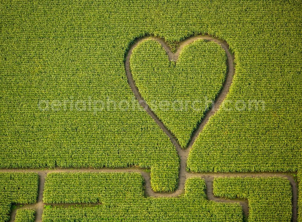 Aerial photograph Herten - Maze - Labyrinth with the outline of einer Herz- Form in a field in Herten in the state North Rhine-Westphalia