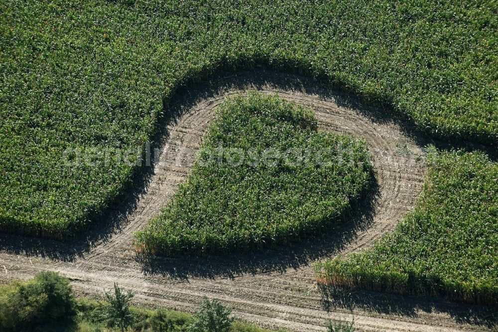 Trebsen/Mulde from the bird's eye view: Maze - Labyrinth with the outline of in Herz- Form in a field in Trebsen/Mulde in the state Saxony