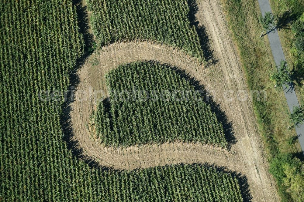 Aerial image Trebsen/Mulde - Maze - Labyrinth with the outline of in Herz- Form in a field in Trebsen/Mulde in the state Saxony