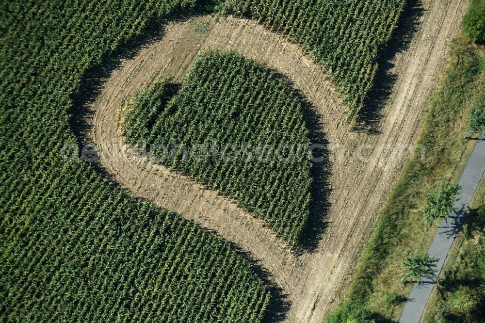 Aerial photograph Trebsen/Mulde - Maze - Labyrinth with the outline of in Herz- Form in a field in Trebsen/Mulde in the state Saxony