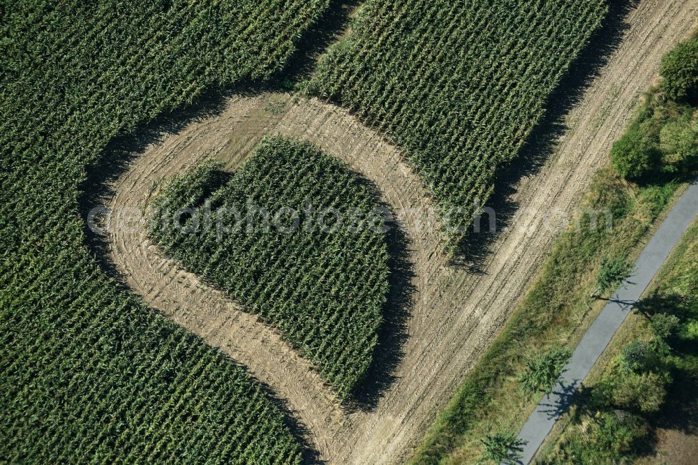 Trebsen/Mulde from above - Maze - Labyrinth with the outline of in Herz- Form in a field in Trebsen/Mulde in the state Saxony