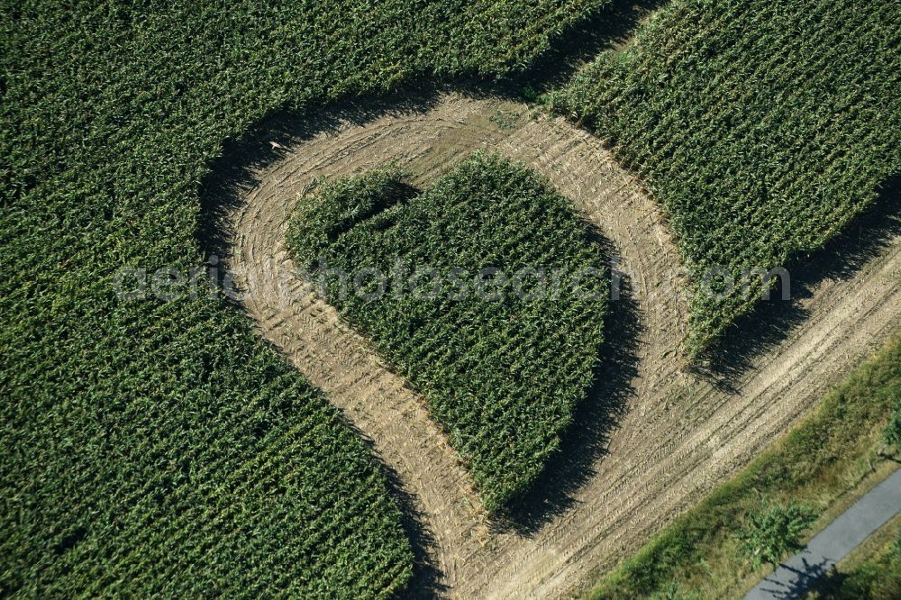 Trebsen/Mulde from the bird's eye view: Maze - Labyrinth with the outline of in Herz- Form in a field in Trebsen/Mulde in the state Saxony