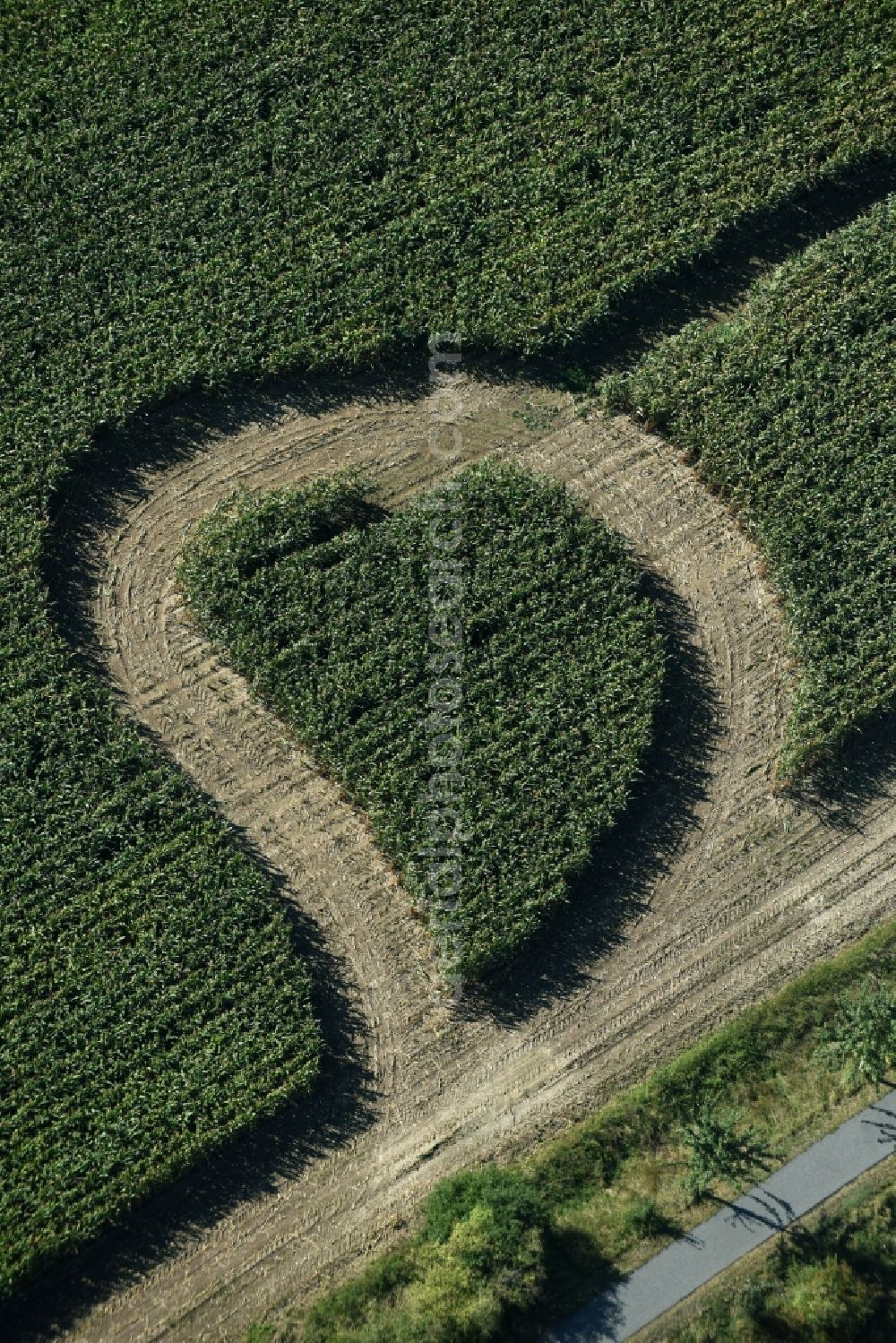 Aerial image Trebsen/Mulde - Maze - Labyrinth with the outline of in Herz- Form in a field in Trebsen/Mulde in the state Saxony