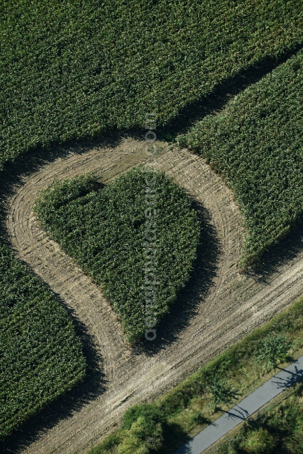 Aerial photograph Trebsen/Mulde - Maze - Labyrinth with the outline of in Herz- Form in a field in Trebsen/Mulde in the state Saxony