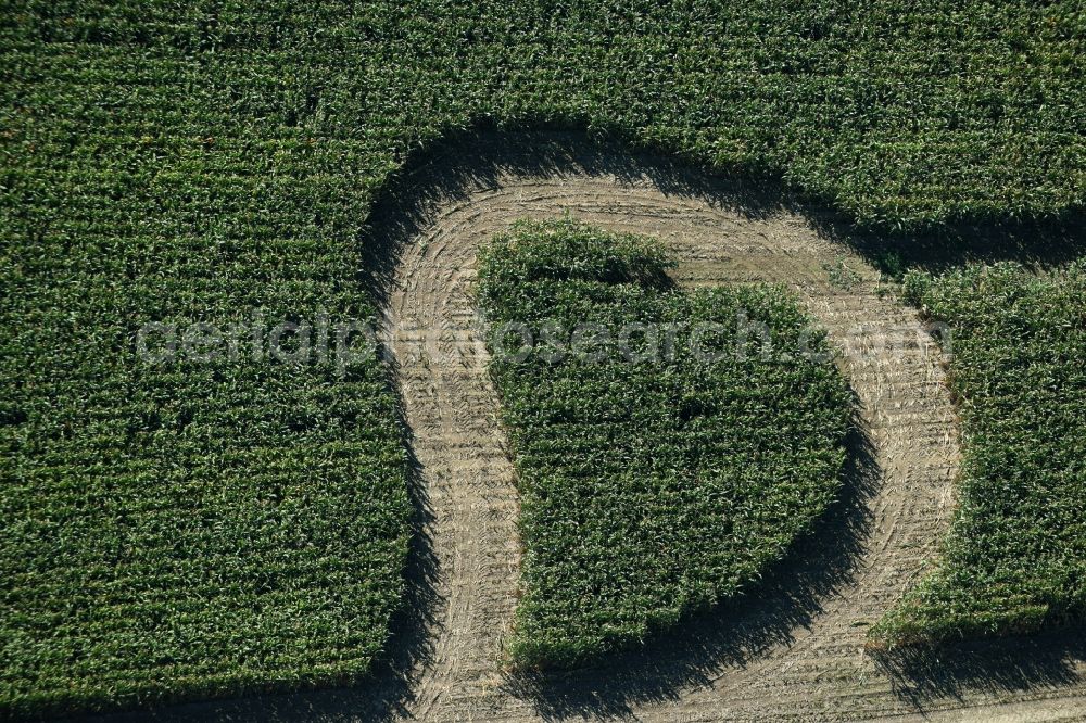 Aerial photograph Trebsen/Mulde - Maze - Labyrinth with the outline of in Herz- Form in a field in Trebsen/Mulde in the state Saxony