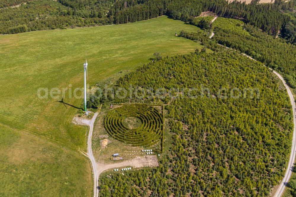 Balve from the bird's eye view: Maze - Labyrinth with the outline of of a circle in a field in Leveringhausen in the state North Rhine-Westphalia, Germany