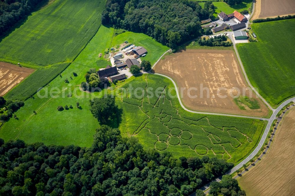 Aerial image Selm - Maze - Labyrinth with the outlines of the Olympic rings and sporty designs on cornfields his Norbert Luenemann horse breeding in Selm in North Rhine-Westphalia