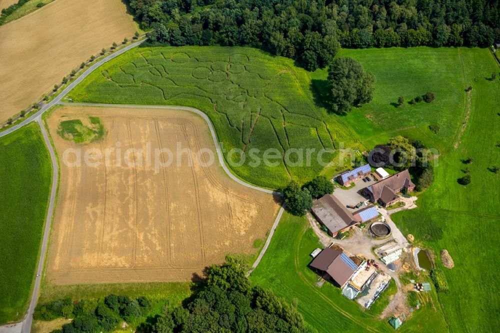 Aerial photograph Selm - Maze - Labyrinth with the outlines of the Olympic rings and sporty designs on cornfields his Norbert Luenemann horse breeding in Selm in North Rhine-Westphalia