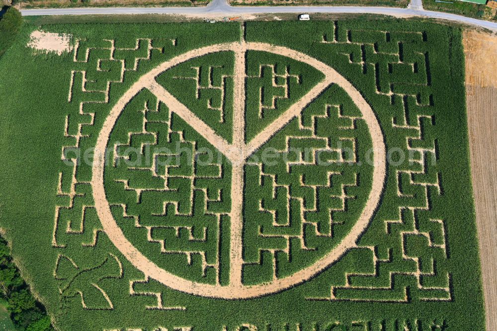 Flehingen from the bird's eye view: Maze - labyrinth with the outline of the peace sign on a field of Milchhof Laemmle-Hofmann GbR in Flehingen in the state Baden-Wuerttemberg, Germany