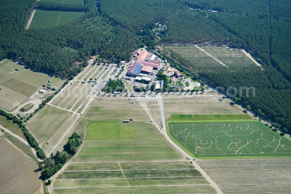 Aerial photograph Klaistow - Maze - Labyrinth with the outline of on Spargel- and Erlebnishof Klaistow on Glindower Strasse in a field in Klaistow in the state Brandenburg, Germany