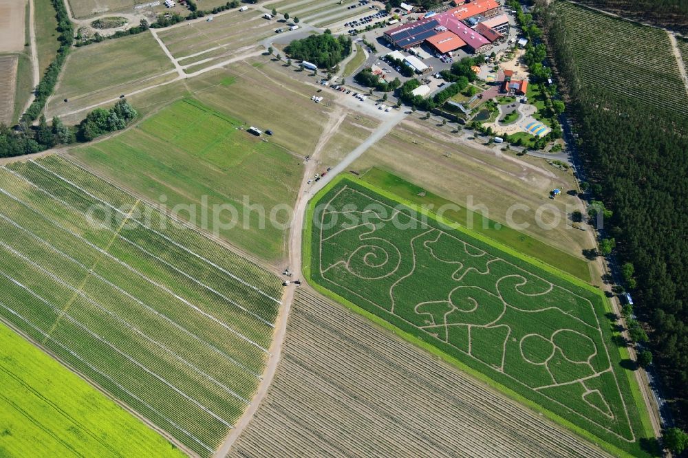 Klaistow from above - Maze - Labyrinth with the outline of on Spargel- and Erlebnishof Klaistow on Glindower Strasse in a field in Klaistow in the state Brandenburg, Germany