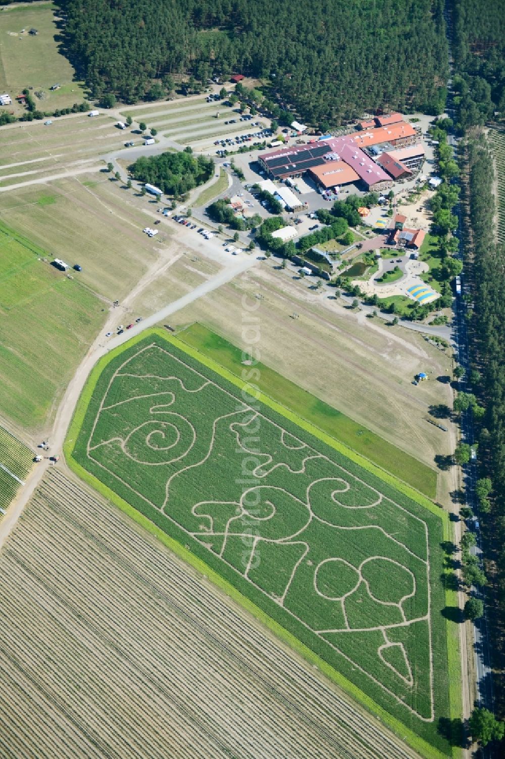 Klaistow from the bird's eye view: Maze - Labyrinth with the outline of on Spargel- and Erlebnishof Klaistow on Glindower Strasse in a field in Klaistow in the state Brandenburg, Germany