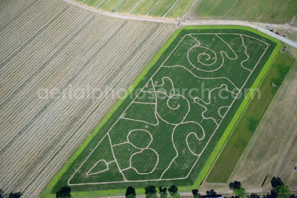 Aerial image Klaistow - Maze - Labyrinth with the outline of on Spargel- and Erlebnishof Klaistow on Glindower Strasse in a field in Klaistow in the state Brandenburg, Germany