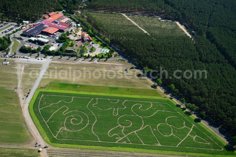 Klaistow from above - Maze - Labyrinth with the outline of on Spargel- and Erlebnishof Klaistow on Glindower Strasse in a field in Klaistow in the state Brandenburg, Germany