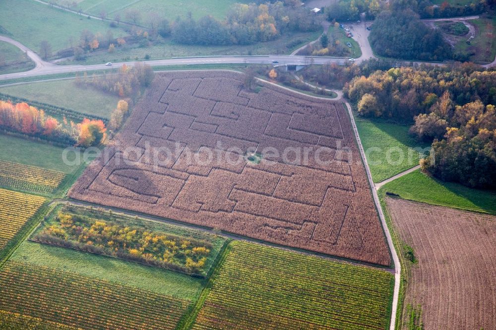 Aerial photograph Göcklingen - Maze - Labyrinth in a corn field in Goecklingen in the state Rhineland-Palatinate, Germany