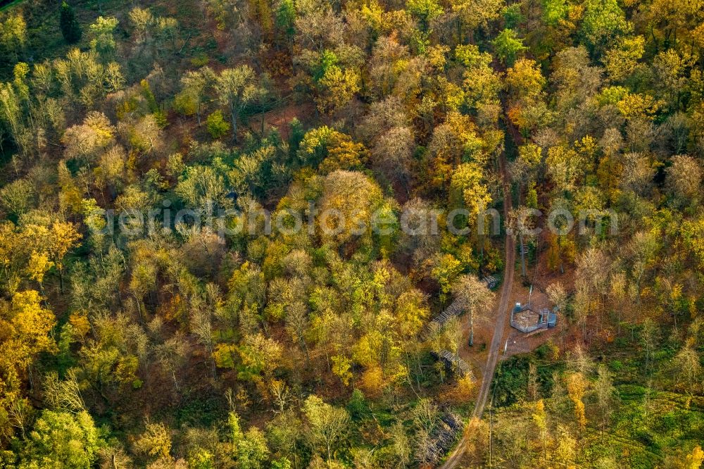 Aerial photograph Ivenack - View of the Ivenacker Eichen in autumn in Ivenack in the state Mecklenburg-West Pomerania