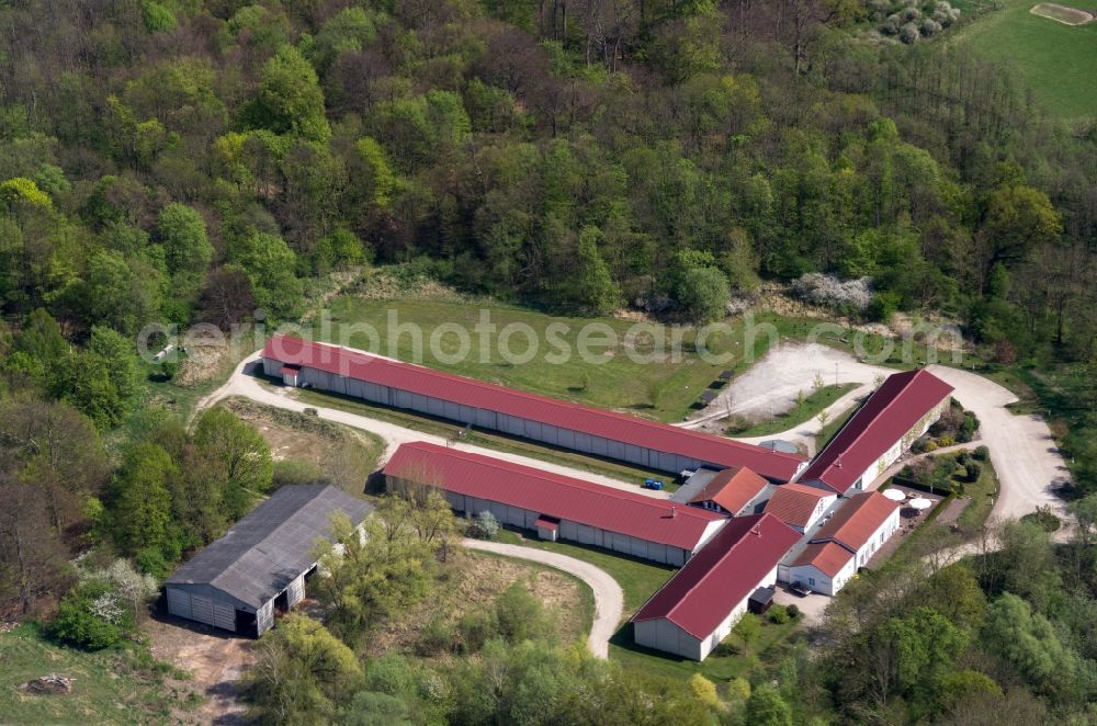 Löwenberger Land from the bird's eye view: Jagdtrainingszentrum Schloss & Gut Liebenberg in Loewenberger Land in the state Brandenburg, Germany