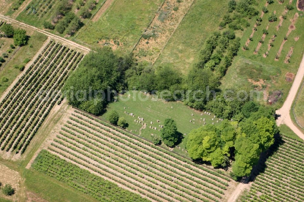 Aerial image Jugenheim in Rheinhessen - Jewish cemetery in Jugenheim in Rheinhessen in Rhineland-Palatinate